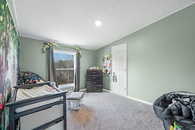 3311 5 Mile Rd, Sears, MI 49679 - bedroom featuring a textured ceiling, carpet floors, baseboards, and lofted ceiling