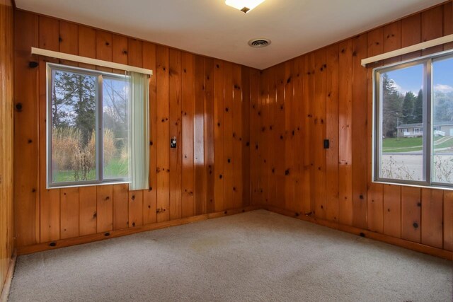 12225 SW Torch Lake Dr SW, Rapid City, MI 49676 - carpeted spare room featuring healthy amount of natural light, wood walls, and baseboards