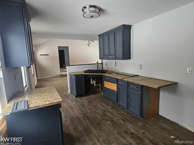 7415 Linden Rd, Fenton, MI 48430 - kitchen featuring a sink, a peninsula, dark wood finished floors, and a textured ceiling