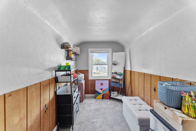 rec room with lofted ceiling, a textured ceiling, wood walls, a textured wall, and carpet