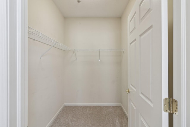 36160 Abbey Dr, Westland, MI 48185 - walk in closet with light colored carpet