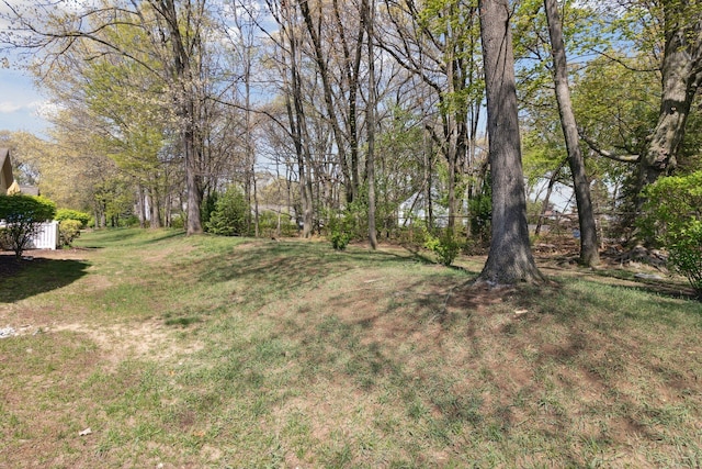 36160 Abbey Dr, Westland, MI 48185 - view of grassy yard