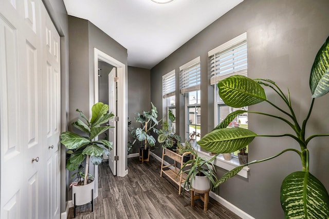 sitting room featuring baseboards and dark wood-type flooring