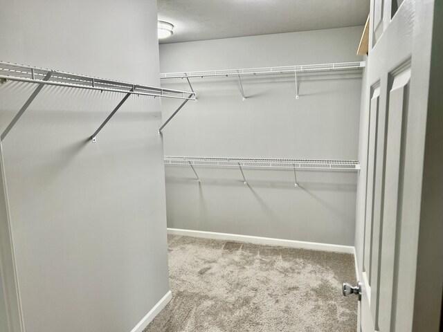 5790 Paxton Ct, Portage, MI 49024 - spacious closet featuring carpet flooring