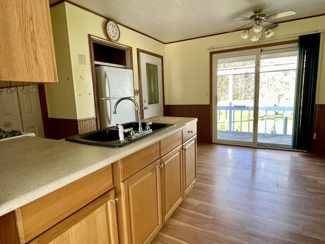 kitchen featuring freestanding refrigerator, a wainscoted wall, a sink, light wood finished floors, and a ceiling fan