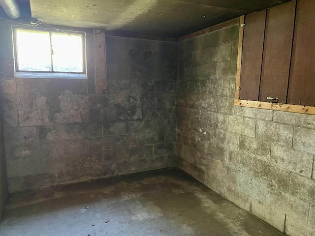 below grade area featuring concrete block wall