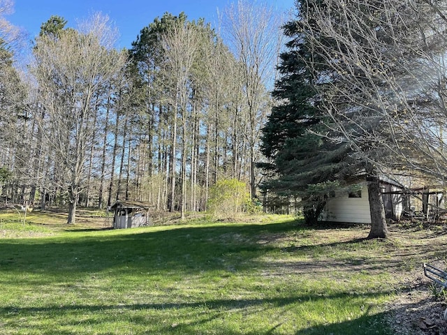view of grassy yard