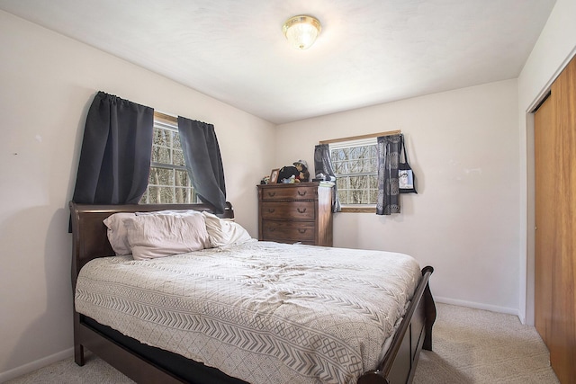 50427 M 51 N, Dowagiac, MI 49047 - bedroom featuring carpet floors, baseboards, and a closet