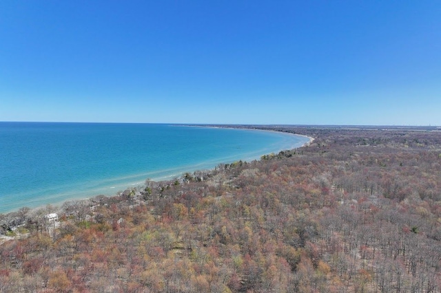 8439 Shoshoni Pass, Pigeon, MI 48755 - water view with nearby beach