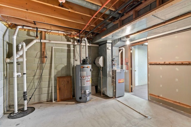 8439 Shoshoni Pass, Pigeon, MI 48755 - unfinished below grade area with gas water heater and heating unit