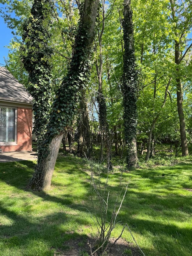 43632 Abbey Cir, Canton, MI 48187 - view of green lawn