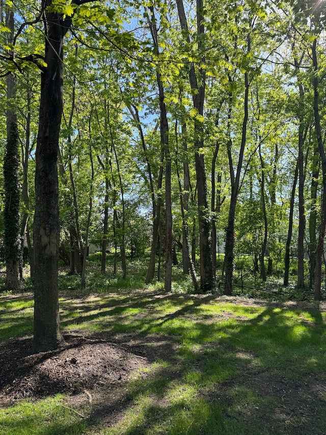 43632 Abbey Cir, Canton, MI 48187 - view of undeveloped land