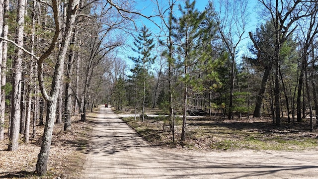 2073 Gunn Rd, Manistee, MI 49660 - view of road with a view of trees