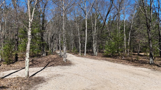 2073 Gunn Rd, Manistee, MI 49660 - view of road with a wooded view