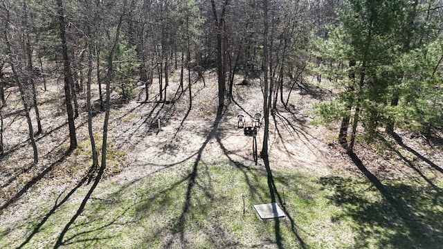 2073 Gunn Rd, Manistee, MI 49660 - bird's eye view of a forest