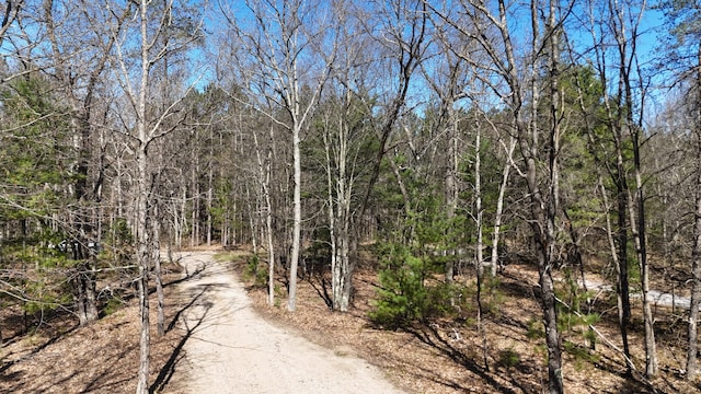 2073 Gunn Rd, Manistee, MI 49660 - view of road featuring a forest view