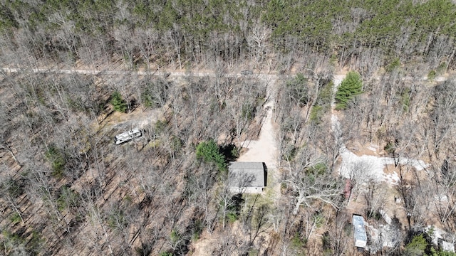 2073 Gunn Rd, Manistee, MI 49660 - aerial view of property and surrounding area