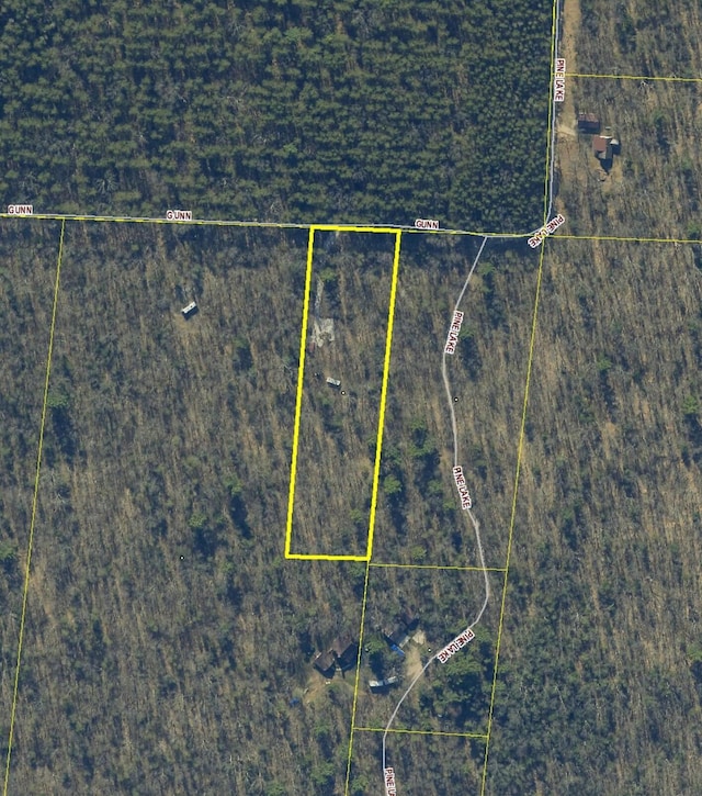 2073 Gunn Rd, Manistee, MI 49660 - aerial overview of property's location with property parcel outlined