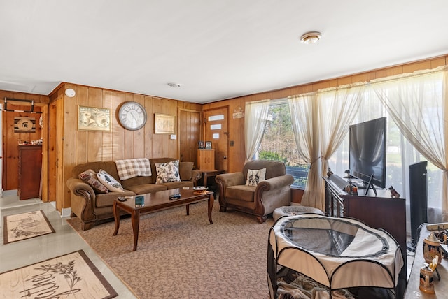 living room with wooden walls