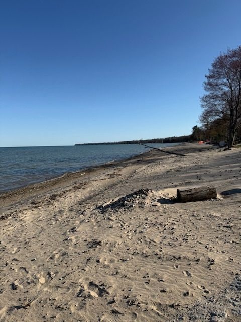 water view featuring local beach