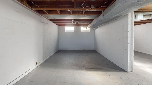 20026 Joann St, Detroit, MI 48205 - below grade area with concrete block wall