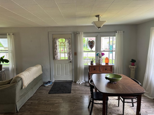 7980 W Gilford Rd, Reese, MI 48757 - dining space featuring healthy amount of natural light and dark wood-style floors