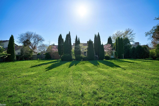 view of yard