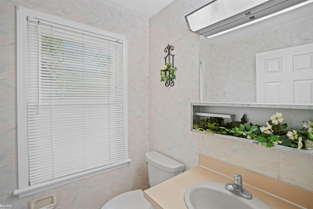 bathroom with toilet and vanity