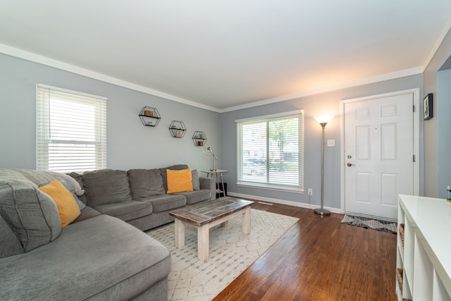 living area featuring dark wood-style flooring, baseboards, and crown molding