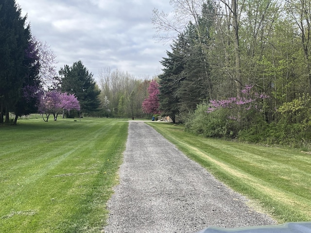 7532 E W Ave E, Vicksburg, MI 49097 - view of dirt / gravel road featuring a view of trees