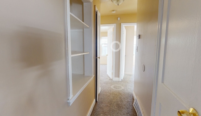 19720 Asbury Park, Detroit, MI 48235 - corridor featuring carpet floors and baseboards
