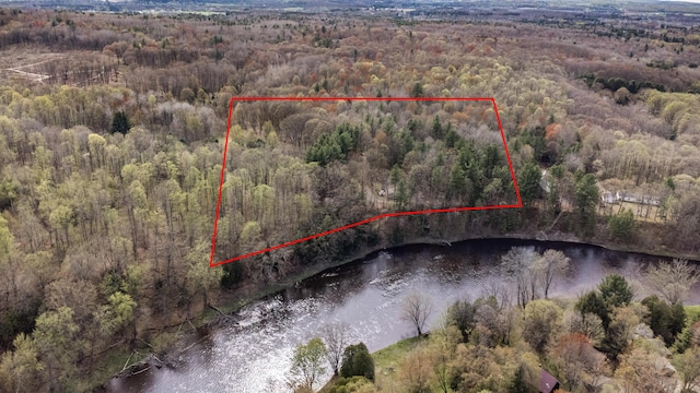 19251 Indian Dr, Paris, MI 49338 - aerial view of property's location featuring a forest, a large body of water, and property parcel outlined