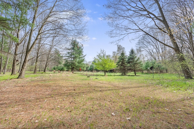 19251 Indian Dr, Paris, MI 49338 - view of yard