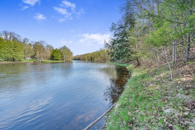 19251 Indian Dr, Paris, MI 49338 - water view featuring a heavily wooded area