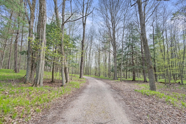 19251 Indian Dr, Paris, MI 49338 - view of street featuring a forest view