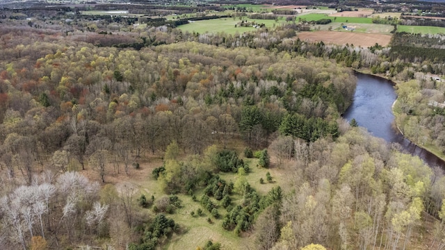 19251 Indian Dr, Paris, MI 49338 - view of property location featuring a large body of water and a forest