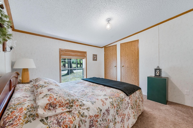 19251 Indian Dr, Paris, MI 49338 - bedroom with ornamental molding, carpet, lofted ceiling, multiple closets, and a textured ceiling