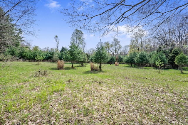19251 Indian Dr, Paris, MI 49338 - view of yard featuring a rural view