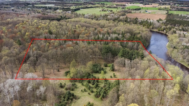 19251 Indian Dr, Paris, MI 49338 - aerial overview of property's location with property parcel outlined, a heavily wooded area, and a large body of water