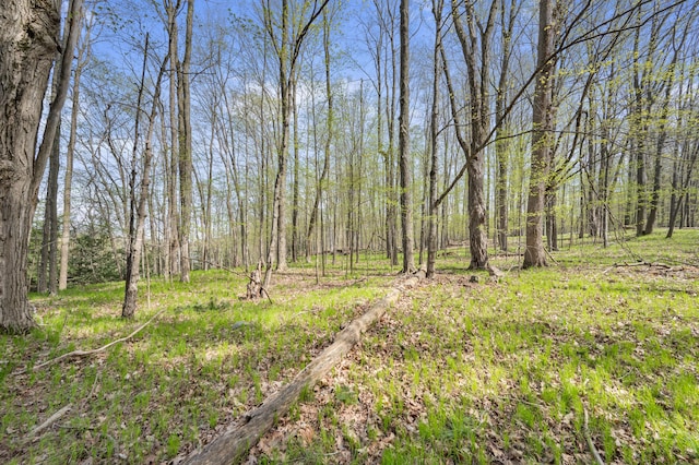19251 Indian Dr, Paris, MI 49338 - view of tree filled area