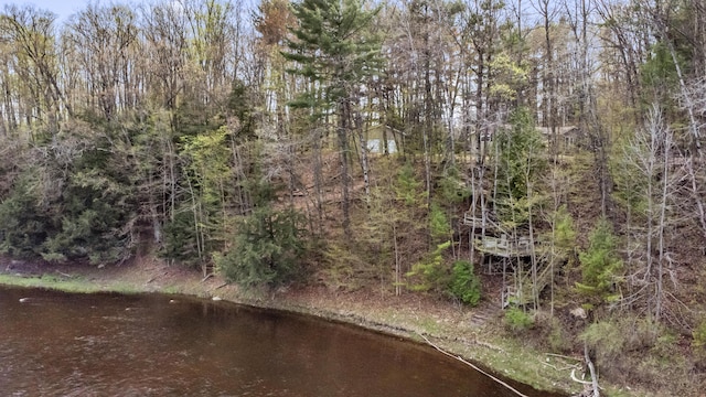 19251 Indian Dr, Paris, MI 49338 - view of nature