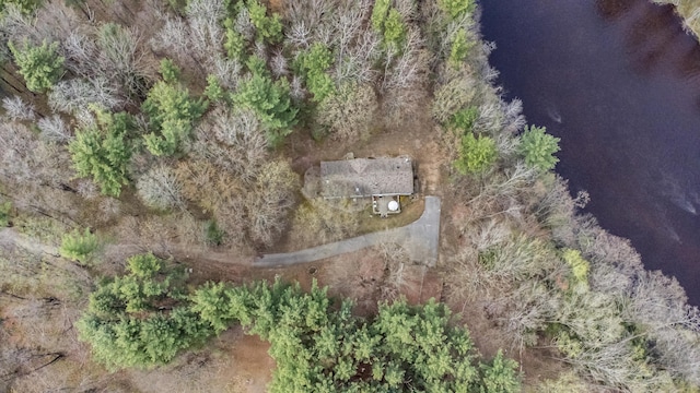 19251 Indian Dr, Paris, MI 49338 - view of property location