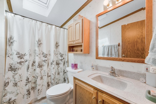 19251 Indian Dr, Paris, MI 49338 - bathroom with a skylight, toilet, vanity, and a shower with shower curtain
