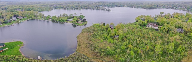 841 Driburg Dr, Commerce Twp, MI 48390 - aerial overview of property's location featuring a nearby body of water and a forest