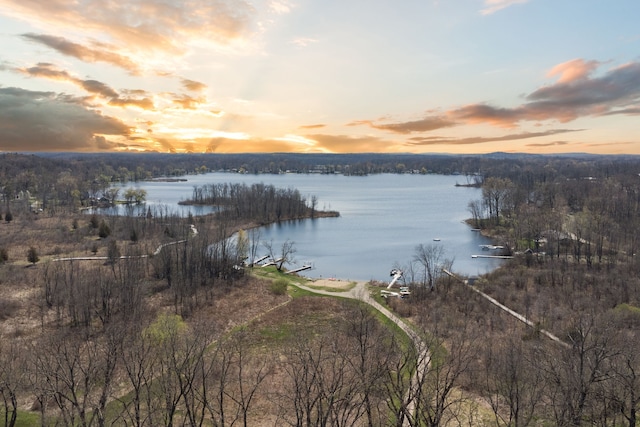 5780 Elvira, Pinckney, MI 48169 - water view