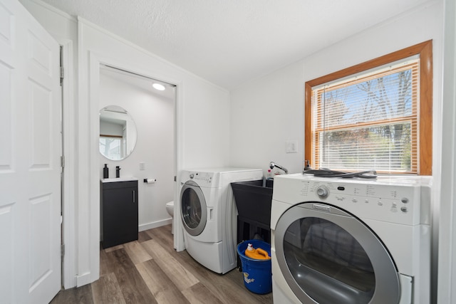 5780 Elvira, Pinckney, MI 48169 - clothes washing area featuring washer and dryer and light wood-type flooring