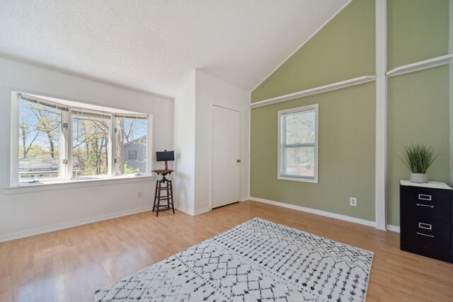 5780 Elvira, Pinckney, MI 48169 - bedroom featuring wood finished floors, lofted ceiling, and baseboards