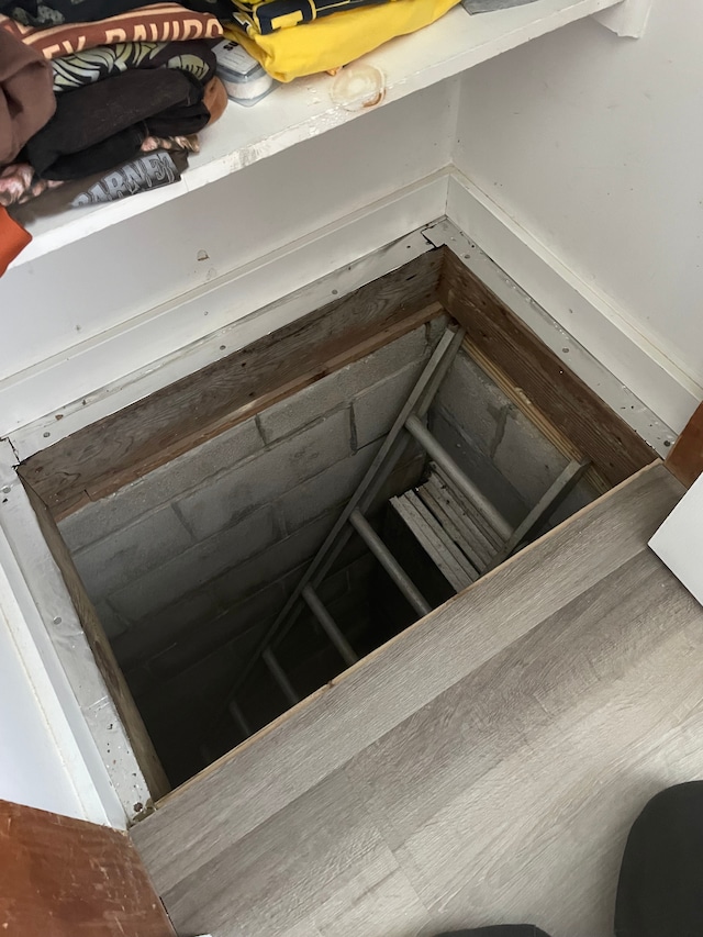 5780 Elvira, Pinckney, MI 48169 - entry to storm shelter