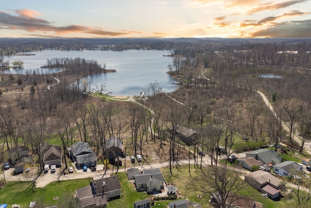 5780 Elvira, Pinckney, MI 48169 - aerial view at dusk of a water view and a residential view