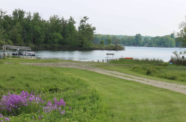 5780 Elvira, Pinckney, MI 48169 - water view with a forest